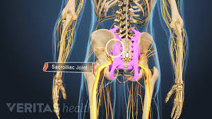 Movement at the hip is similar to that of the shoulder joint, but due to there are four muscles in anterior region of the thigh. Types Of Arthritis That Cause Sacroiliac Joint Pain