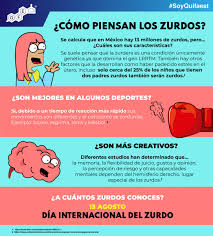 Maybe you would like to learn more about one of these? Quifaest Sur Twitter Aprender Que Hace A Los Zurdos Diferentes Podria Ayudarnos Tambien A Resolver Muchos De Los Misterios Neuropsicologicos Del Cerebro Y Luchar Contra La Discriminacion Feliz Dia Del Zurdo