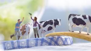 Paysan Breton Au Nom Du Bon Packshotmag