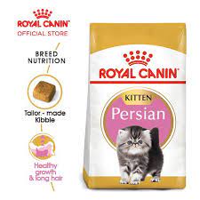 Kucing persia, kucing anggora, kucing maine coon, kucing hutan, dan yang lainnya. Royal Canin Kitten Persian Makanan Anak Kucing Persia Dry 400gr Shopee Indonesia