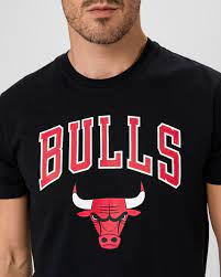 We did not find results for: New Era Nba Logo Chicago Bulls T Shirt Bibloo Com