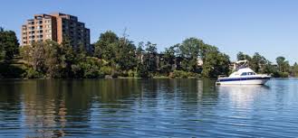 We did not find results for: A Year After Health Scare Gorge Is Back In The Swim Times Colonist