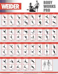 Weider Workout Chart Pdf Sport1stfuture Org