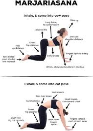 What Are The Marjariasana Steps And Benefits Try The Cat Pose Cat Cow Yoga Pose Yoga Benefits Yoga Asanas