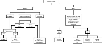 Some Patients With Bladder Cancer Can T Wait For Treatment During The Covid 19 Pandemic
