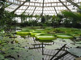 Meise Belgique Jardin National Botanique De Belgique Palais Des Plantes Serre Victoria Visite Belgique Belgique Jardin Public
