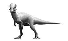 Choose a unique baby boy name from the bump's list of baby boy names beginning with r. List Of Dinosaur Genera Wikipedia