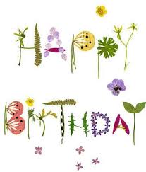 Beautiful Happy Birthday Flowers Creative Image Jpg 524 614 Happy Birthday Greetings Happy Birthday Flower Happy Birthday Pictures