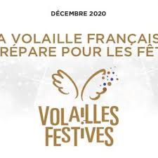 Diversite Des Morceaux Le Poulet