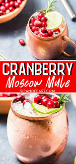 Undefined Cranberry Moscow Mule Cocktail Recipes Easy Christmas Cocktails Recipes