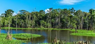 Conservation, health & sustainability in the peruvian amazon since 1994. Flussreise Amazonas Abenteuer Regenwald Zeit Reisen