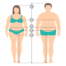 Women are made of sugar and spice and all things nice. Illustration Of Overweight Man And Women In Full Length With Measurement Lines Of Body Parameters Man And Women Clothes Plus Size Measurements Human Body Measurements And Proportions 616793 Vector Art At Vecteezy