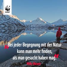 Zitat Zum Sonntag Zitate Lebensweisheiten Weisheiten