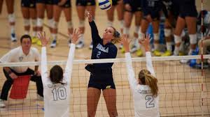 Sam burgess was allegedly arrested for testing positive for cocaine after being pulled over while drivingcredit: Pac 12 Women S Volleyball Lands Four Teams In Top 10 Pac 12