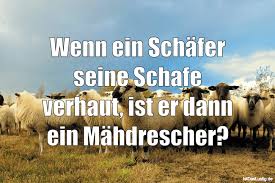 Wenn Ein Schafer Seine Schafe Verhaut Ist Er Dann Ein Mahdrescher Gefunden Auf Https Witzige Spruche Lustige Spruche Lebensweisheiten Spruche