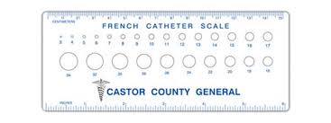 Promotional Imprinted French Catheter Scales