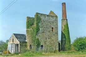 Image result for Wheal
