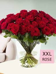 Elegante rote rose seide hochzeitsstrauß. 50 Rote Rosen Surprose De