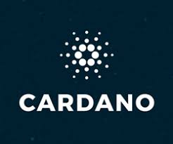 There is every reason to believe that cardano will change the industry's rules of the game, just like ethereum did in its time. Cardano Ada Vs Polkadot Dot Which Cryptocurrency Is A Better Buy Nasdaq