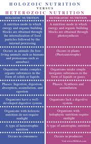 Difference Between Holozoic And Holophytic Nutrition Pediaa Com