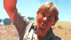 Stephen steve robert irwin, nicknamed the crocodile hunter, was an australian naturalist, zoologist and television personality, known for his wildlife documentary series the crocodile hunter. Steve Irwin Tribute Wildest Things In The World By Melodysheep Youtube