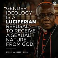 Today's Theology question: Though I don't have a vote, I am officially  endorsing this guy for the next pope. What are your thoughts?