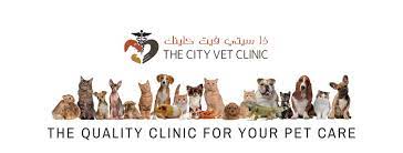 Erica fry medical director veterinarian. The City Vet Clinic Home Facebook