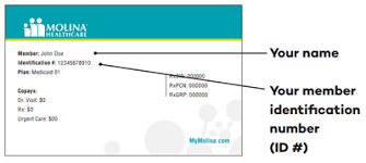 Sample health insurance id card: Member Identification Card Id Card