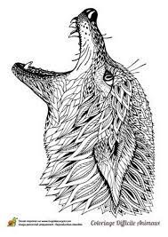 Amusez vous en decouvrant des images a imprimer et des dessins a colorier. Dessin A Colorier D Une Tete De Loup Hugolescargot Com Coloring Pages Animal Coloring Pages Coloring Pictures