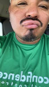 Carpenter bee removal in Ojai area