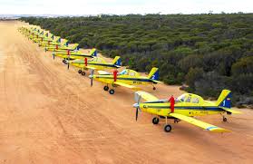 Image result for Orange 1984 Fleet