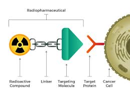 A cancer that has spread from the place where it first formed to another place in the body is called metastatic cancer. Radiopharmaceuticals Emerging As New Cancer Therapy National Cancer Institute