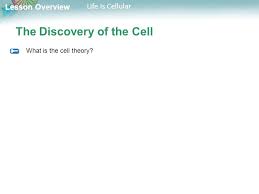 Discovered that plants are made up of cells. Lesson Overview 7 1 Life Is Cellular Ppt Download