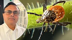 Fästingforskarens teori om varför TBE-fallen ökar i Sverige