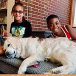 Reading Dogs!