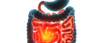 سوء الامتصاص علاج سوء الامتصاص ويب طب