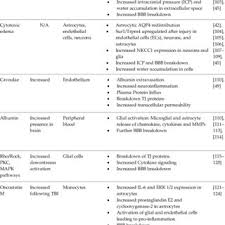 Alle papa moll hörspiele in einer playliste. Pdf Mechanisms Of Blood Brain Barrier Dysfunction In Traumatic Brain Injury