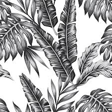 Download and use 70,000+ banana leaf stock photos for free. Banana Leaf Wallpaper Black And White 900x900 Wallpaper Teahub Io