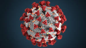 Welcome to the centers for disease control and prevention. Das Coronavirus Update Von Ndr Info Ndr De Nachrichten Ndr Info