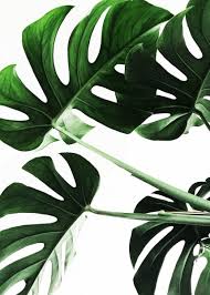 Leaf Metal Poster Print Nikita Abakumov Displate In 2021 Printable Art Wall Decor Leaf Art Wall Printables