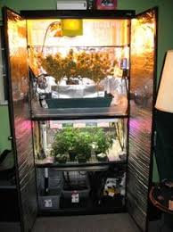 Remember to pull the power cord out through a small opening in the roof and seal the sides with duct tape to avoid light leakage. 100 Diy Grow Box Ideas In 2021 Grow Boxes Diy Grow Box Box Plans