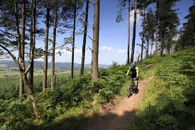 So, browse our list of dumfries and galloway's top lakes below as recommended by the komoot community, and experience more on your next adventure! Dumfries Galloway Schiessen Jagen Fischen In Schottland