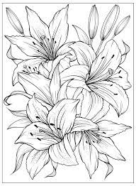 Trail of colors has designed some beautiful free coloring pages for adults that include images of leaves, flowers, dragons, aliens, butterflies, and abstract shapes. Coloring Page With Lilies And Leaves Vector Page For Coloring Flower Colouring Page Floral Print Outline Lily Black And White Page For Coloring Book 2370605 Vector Art At Vecteezy
