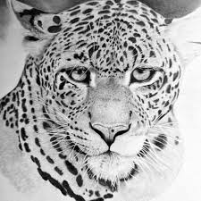 Bookmark this page for a new tutorial every saturday. Hyper Realistic Animal Drawing By Gallerydeceylon On Deviantart