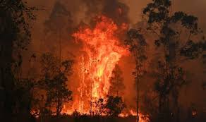 Players freely choose their starting point with their parachute, and aim to stay in the safe zone for as long as possible. Australia Bushfire Map Catastrophic Threat Mapped As A Statewidel Fire Ban Declared World News Express Co Uk