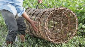 Maybe you would like to learn more about one of these? We Survival How To Make Fish Trap From Bamboo Youtube