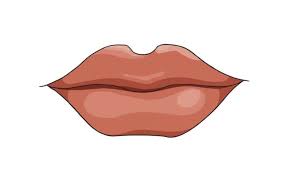 Begin drawing lips by adding in two large ovals to form the lower lip. How To Draw Lips Super Easy My How To Draw