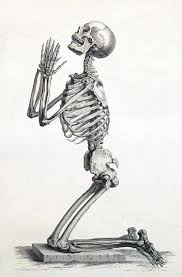 Human Skeleton Print Anatomy Skeleton Poster Medical Art Medical Student Gift Vintage Skelet In 2021 Human Anatomy Art Anatomy Art Skeleton Art