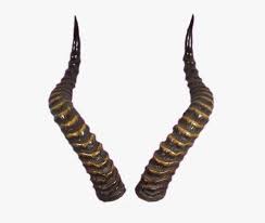 He graduated with a doctorate in veterinary medicine from the university of missouri and went on to establish his own veterinary practice in sacramento, california. Horns By Tigers Horns Png Png Image Transparent Png Free Download On Seekpng