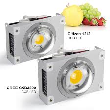 Cob (chip on board) leds consist of many led. Newest 100watt Cob Grow Lights 3000k 3500k 5000k Cxb3590 Full Led Grow Light For Commercial Horticulture Buy Cob Led Grow Light Crees Cxb 3590 Led Grow Light Full Product On Alibaba Com